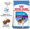 Giant Junior